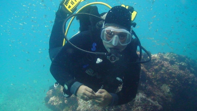 Diving in the depths